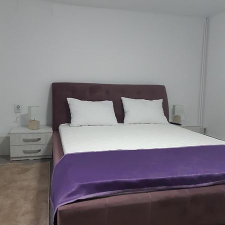 Apartament Magnolia Nearby City Center With Parking 시비우 외부 사진